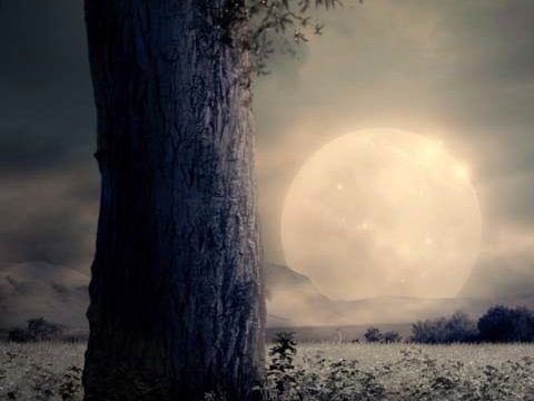 tree moon mysterious wallpaper background phone