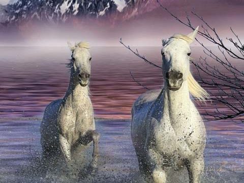 running horses beautiful mountains fairy tale wallpaper background phone