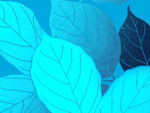 cyan leaves blue wallpaper background phone