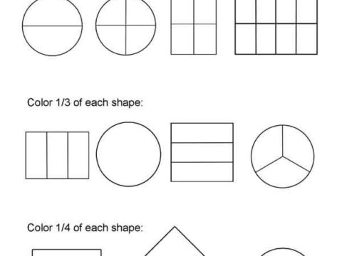 fractions