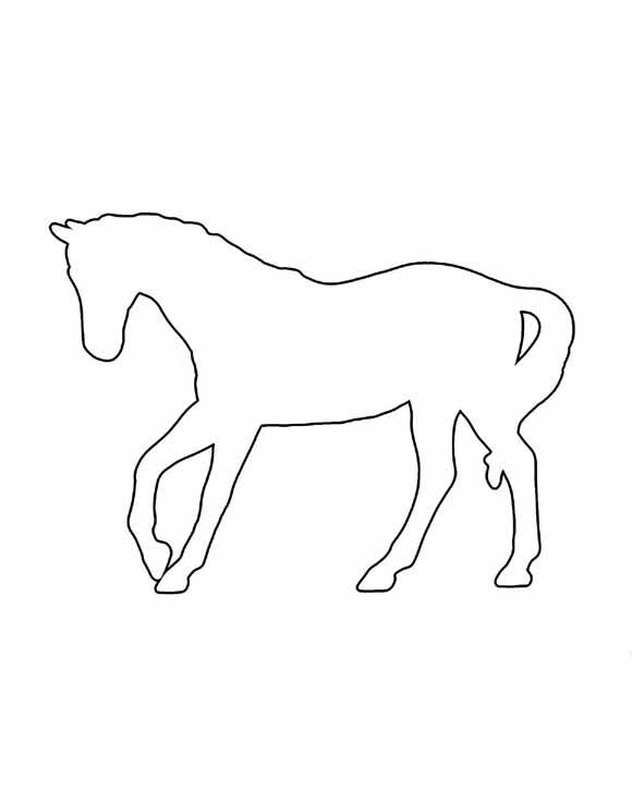 horse